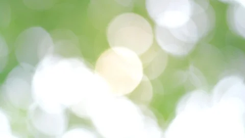 Green bokeh video with bright blurred green background sparkling daytime beautif Stock Footage 128282735