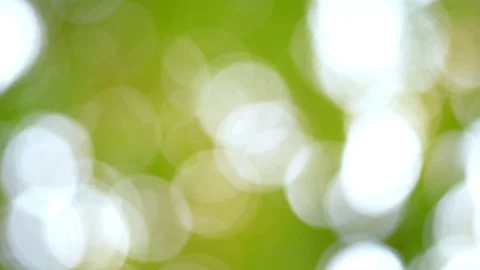 Green bokeh video with bright blurred green background sparkling daytime beautif Stock Footage 128282799