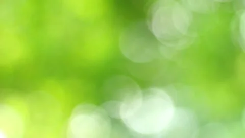 Green Bokeh Stock Video Footage | Royalty Free Green Bokeh Videos | Pond5