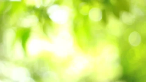 Green bokeh video with bright blurred green background sparkling daytime beautif Stock Footage 141057230