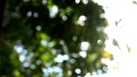 Green bokeh video with bright blurred green background sparkling daytime beautif Stock Footage 141380231