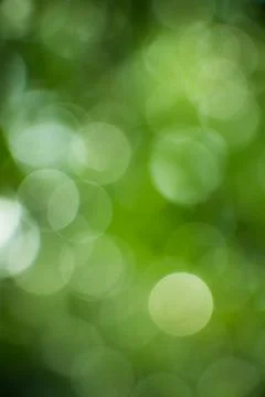 Green bokhe background Foto stock