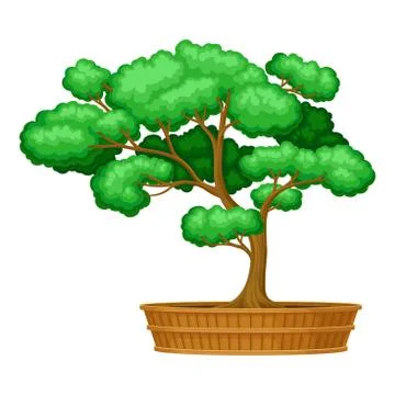 Green Bonsai Tree as Potted Plant with Lush Crown Vector Illustration Stock Illustration