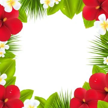 Green border with tropical elements Stock Illustration