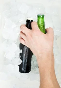 Green Bottle of beer Stock Photos