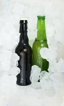 Green Bottle of beer Stock Photos