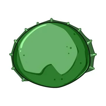 Green bottle cap or chestnut shell cartoon drawing Stock Illustration