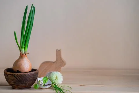 Green bow, easter decoration and space for text Stock Photos