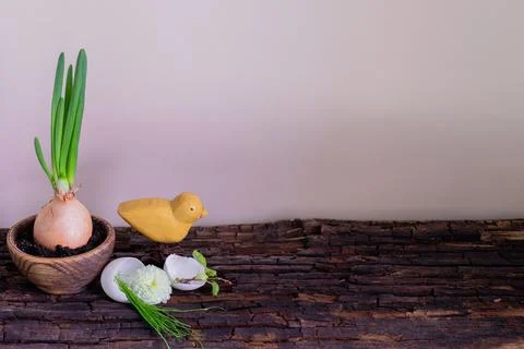 Green bow, Easter decoration on old wood and space for text Stock Photos