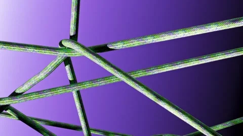 Green Braided Climbing Ropes Intertwined on Purple Gradient Background Stock Footage 328813893