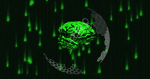 Green brain and hexagonal patterns with binary code animation on dark background Stock Footage 305894202