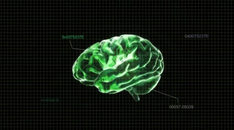 Green brain with code Stock Footage 8853742