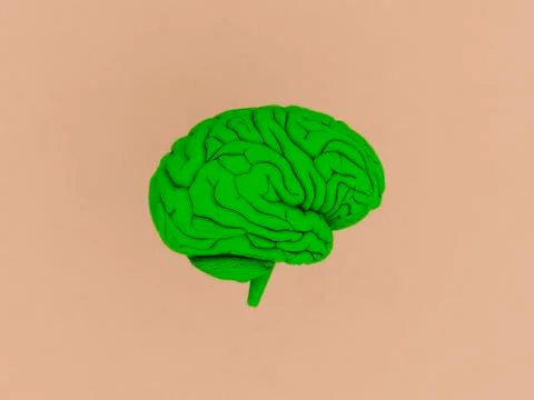 Green brain of craft background.3D rendering. Stock Illustration