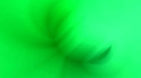 Green branch 動画素材 8837738