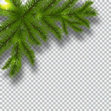 Green branches of a Christmas tree on a checker background. Corner with sha.. Stock Illustration