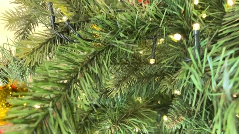 Green branches of the christmas tree Stock Footage 223889254