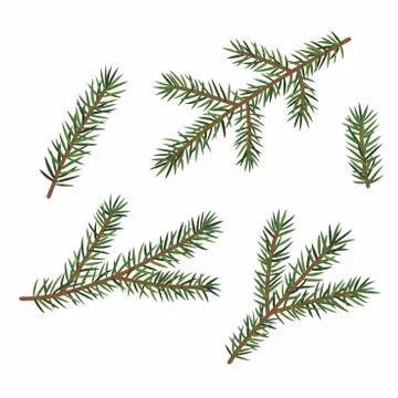 Green branches of a Christmas tree, set, isolated on white background. Stock Illustration