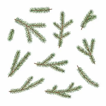 Green branches of a Christmas tree, set, isolated on white background. Stock Illustration