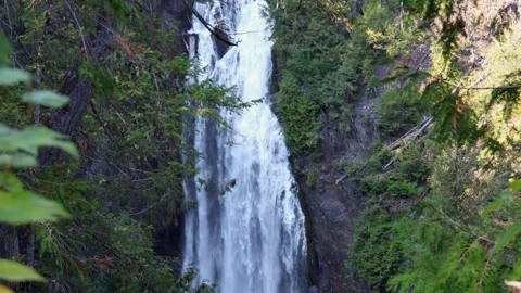 Green branches in front Deception Falls Stock Footage 251926233