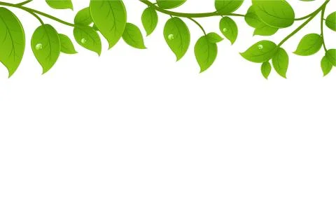 Green branches Stock Illustration
