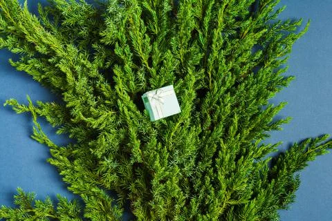 Green branches of juniper with gift box over blue background. Christmas concept 스톡 사진