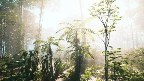 Green branches of a Palm trees 스톡 일러스트