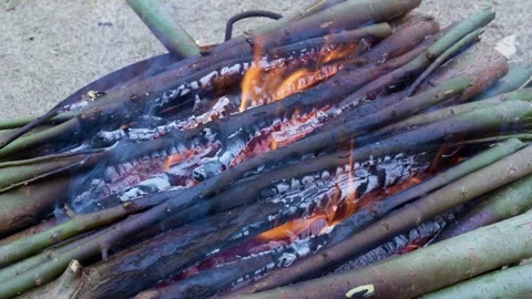 Green branches piled in metal container, burning with bright orange flames Stock Footage 328616541