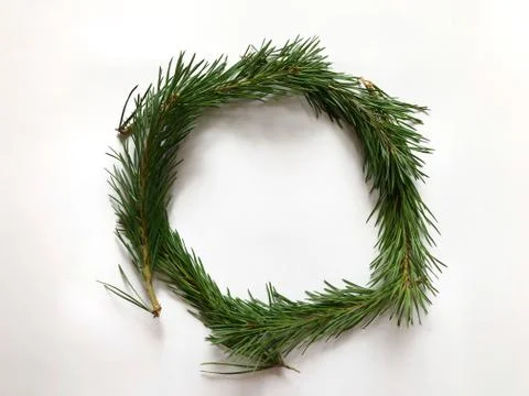 Green branches of pine on a white background Stock Photos