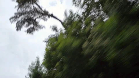 Green Branches Of Trees Seen From Car Passing Under Cloudy Sky - Patagonia, Stock Footage 196876983