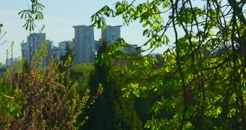 Green branches of a trees, View of city's high-rise buildings. Spring in the Vídeo Stock 273365864