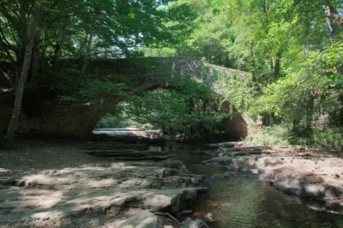 Green Bridge 6.2k 4:3 Open Gate Fujifilm X-H2s Stock-Footage 204741116