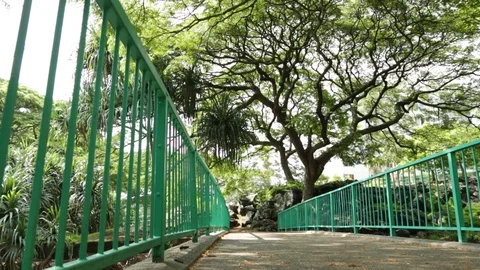 Green Bridge Stock Footage 104827032