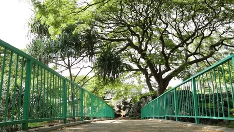 Green Bridge Stock Footage 104827109