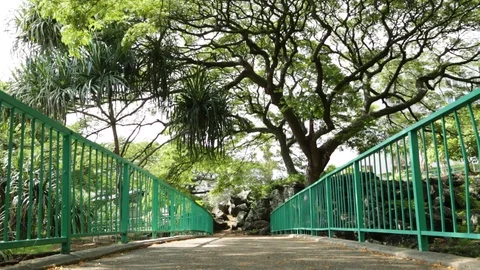 Green Bridge Stock Footage 104827190