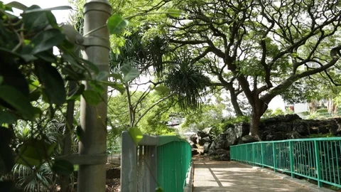 Green Bridge Stock Footage 104827245