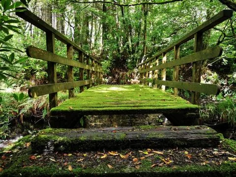 Green Bridge Stock Photos