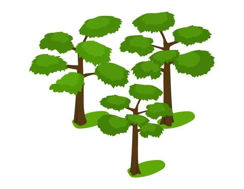 Green bright spring high trees with lush crown, thin brown trunk and branches Stock Illustration