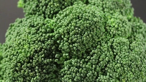 Green broccoli in a closeup view as clean liquid water sprays over the vegetable Stock Footage 102347393