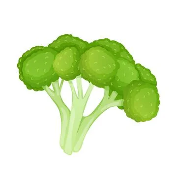 Green broccoli in flat design. Ripe vegetable harvest for healthy diet. Vec.. Stock Illustration