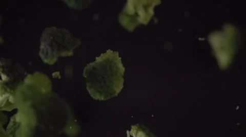 Green broccoli florets 스톡 동영상 64544367