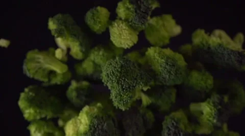 Green broccoli florets 스톡 동영상 64544385