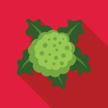Green broccoli florets surrounded by leaves on red background Stock Illustration