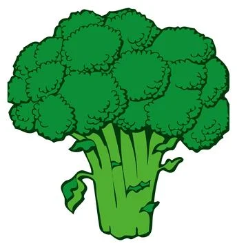 Green broccoli head Stock Illustration