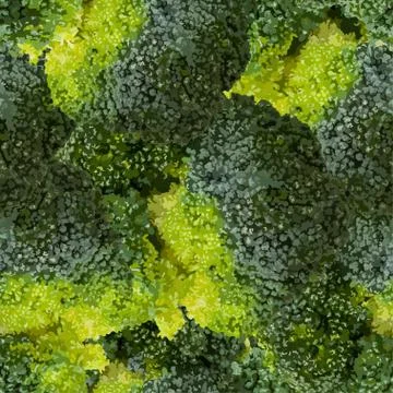 Green broccoli isolated on white top view vector illustration Stock Illustration