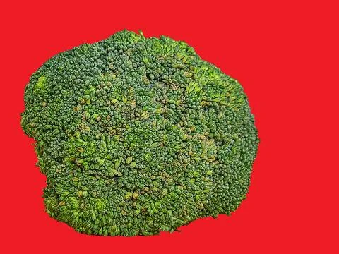 A green broccoli photo standing with a solid color background for food and st Stock Photos
