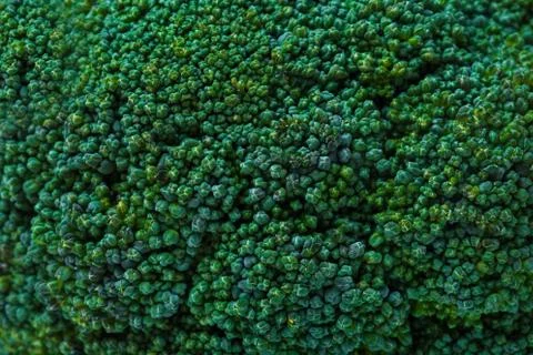 Green broccoli texture, background Stock Photos