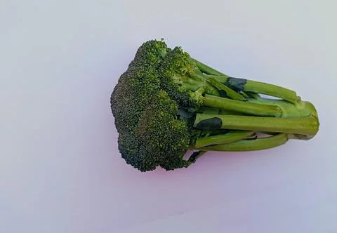 Green Broccoli vegetable on white background Stock Photos