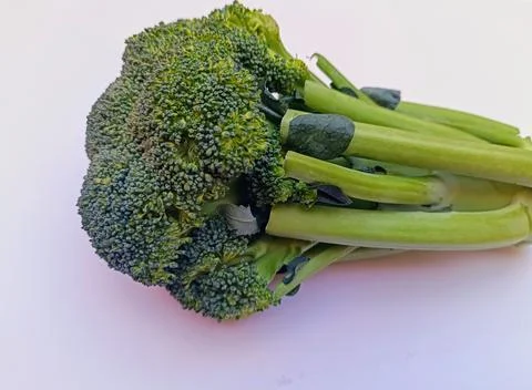 Green Broccoli vegetable on white background Stock Photos