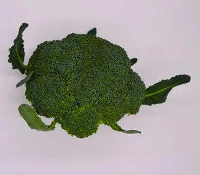 Green broccoli  on white background Foto stock