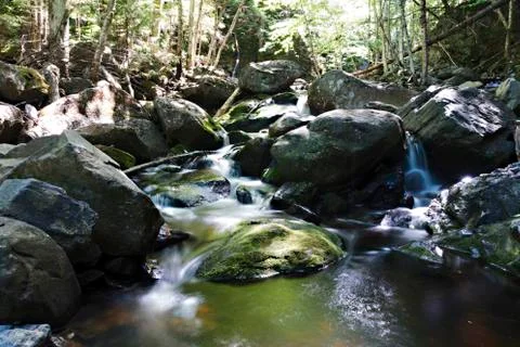 The Green Brook Stock-Fotos